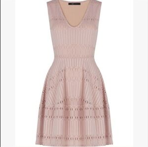 Bcbgmaxazria xs Blush pink fit and flare dress